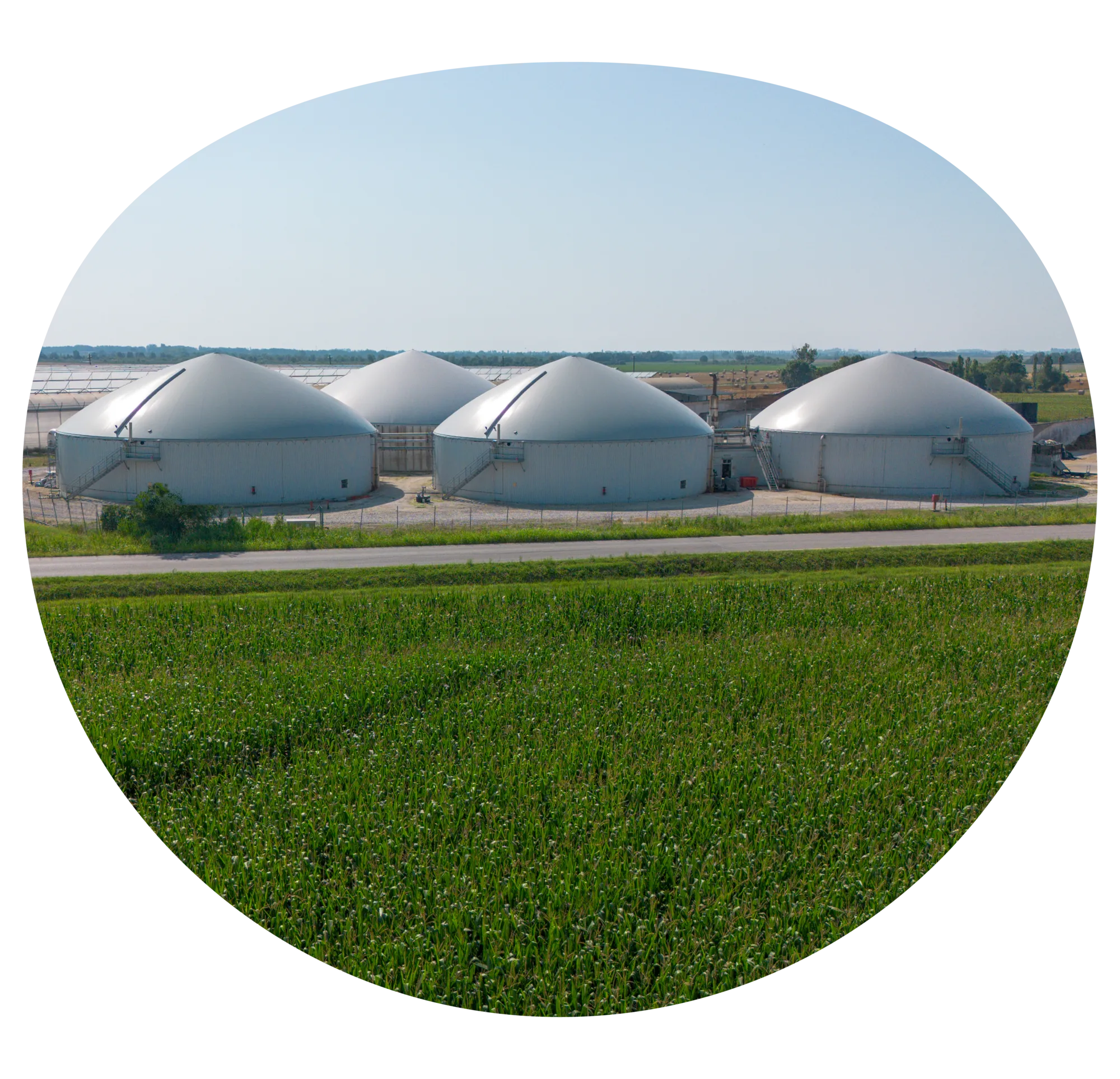 CHI_Tutto-devessere-sostenibile-1