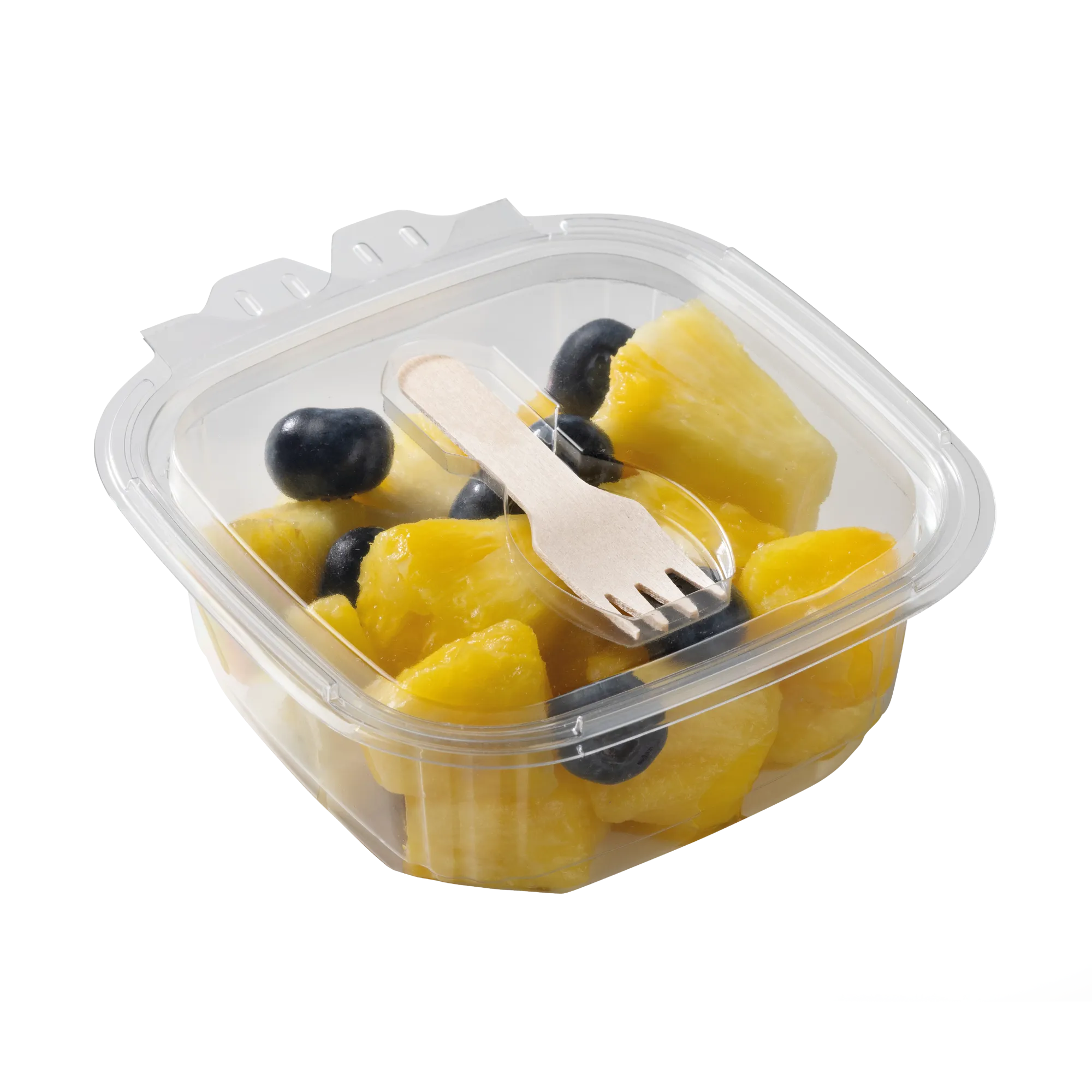 Frutta-a-pezzi_MIRTILLO_nudo