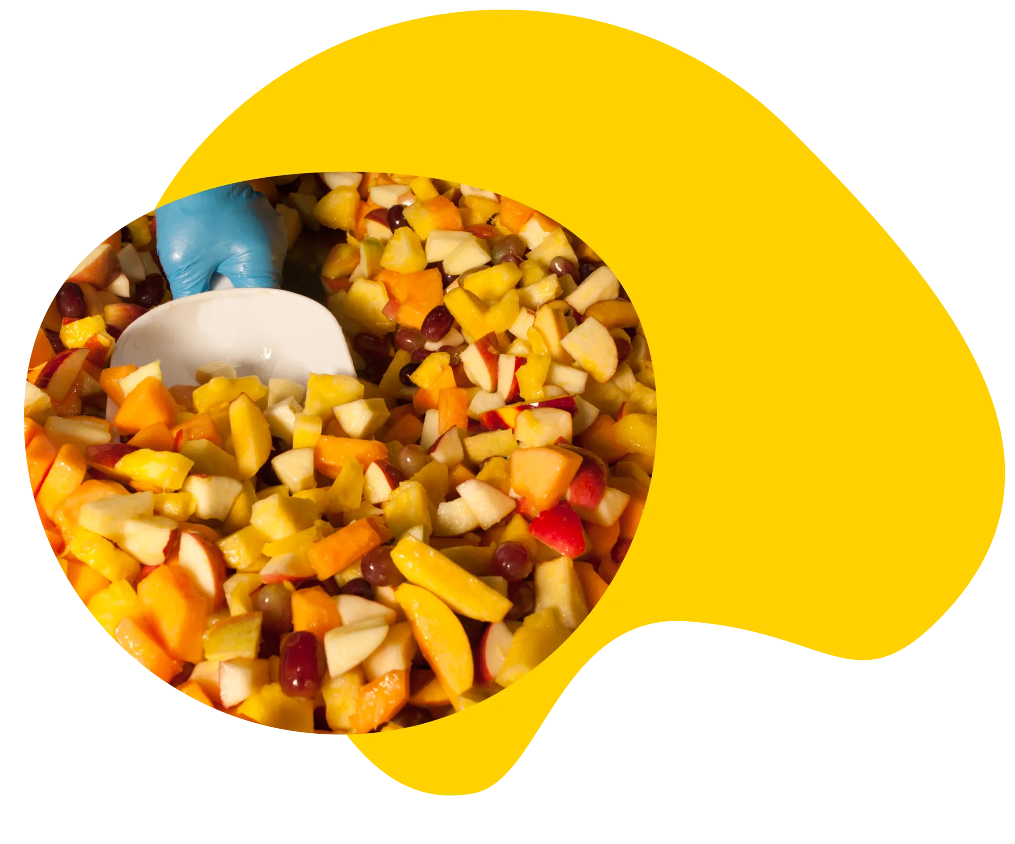 Il-piacere-dei-sapori-veri-desktop